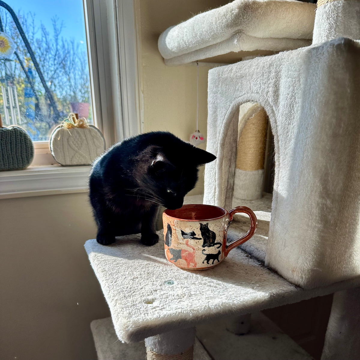 A black cat stands on a cream-colored cat tree next to a ceramic mug with a cat pattern, in a home setting by a window.