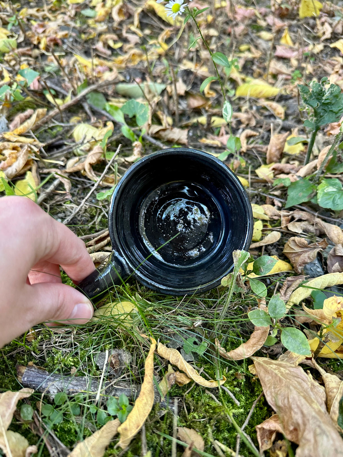 Interior view of a black ceramic mug with a handle, held by a hand on a forest floor covered in dry leaves, moss, and small green plants.