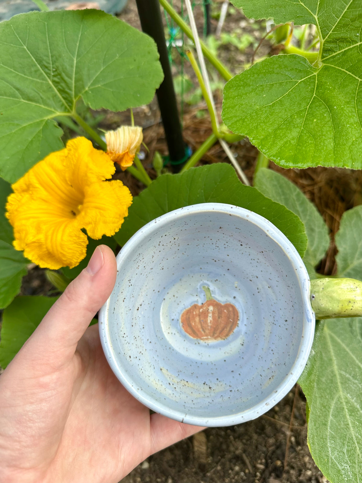 An overshot shot of the inside of a sky blue mug with a green handle; the base of the inside is decorated with a small orange pumpkin illustration. Set against a garden background of pumpkin leaves and pumpkin flowers.
